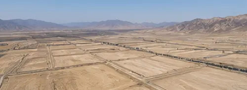 Tamaño y expansión